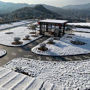 It's snowing, it's so beautiful