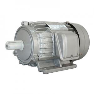 AEEF Series Three-Phase Asynchronous Induction Motor AEEF Series Three-Phase Asynchronous Induction Motor
