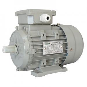 MS Series three-phase Asynchronous Induction Motor MS Series three-phase Asynchronous Induction Motor