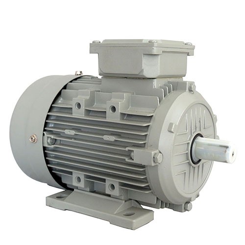 MS Series three-phase Asynchronous Induction Motor