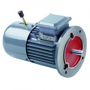 MSEJ Series three phase Asynchronous Barking Motor MSEJ Series three phase Asynchronous Barking Motor