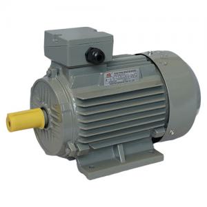 Y2 Series three phase asynchronous cast iron housing motor Y2 Series three phase asynchronous cast iron housing motor