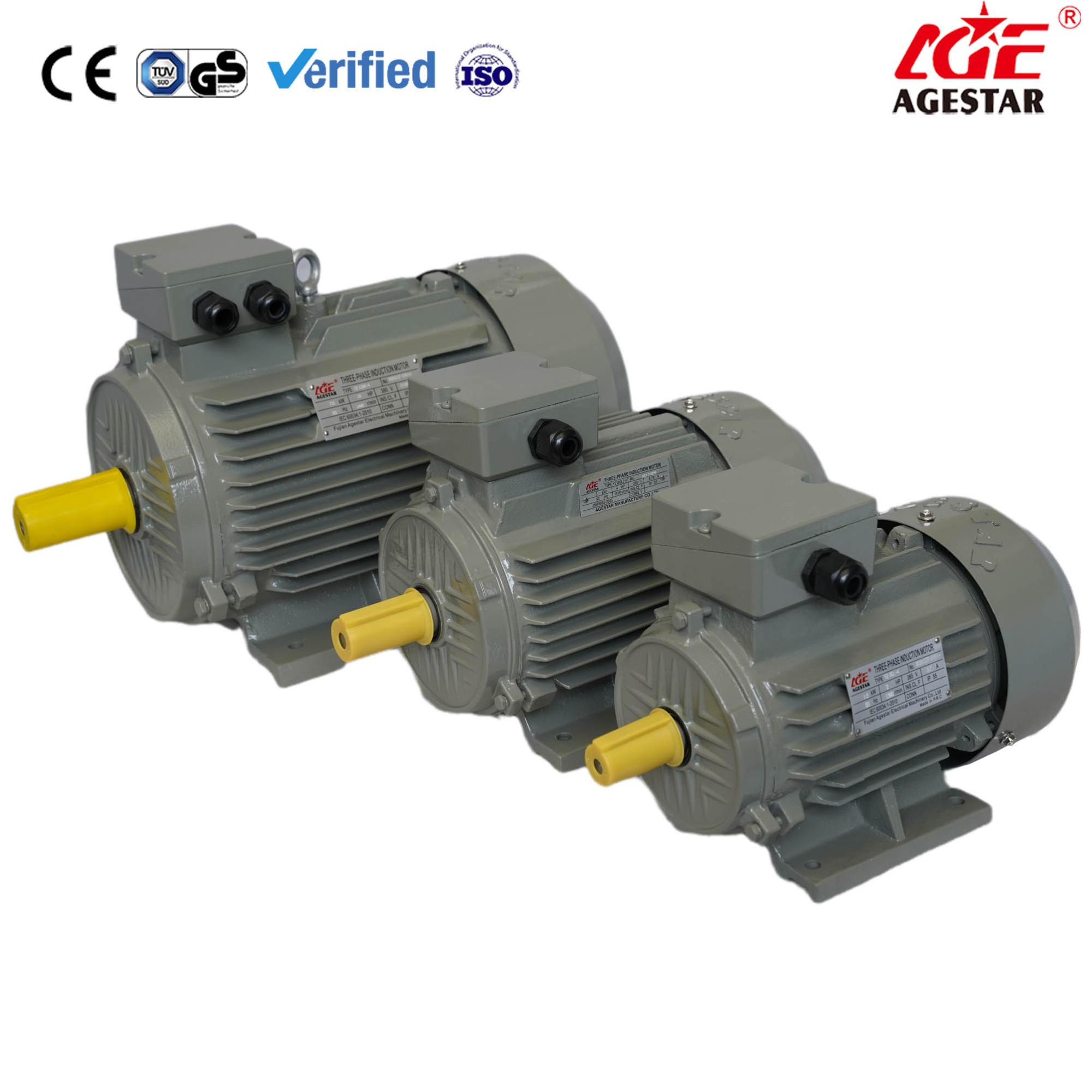 Y2 Series three phase asynchronous cast iron housing motor